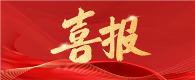 喜訊！長康實(shí)業(yè)上榜2024年度“岳陽民營企業(yè)50強(qiáng)” ！
