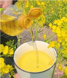 過年囤貨，買什么炒菜油更好更健康？