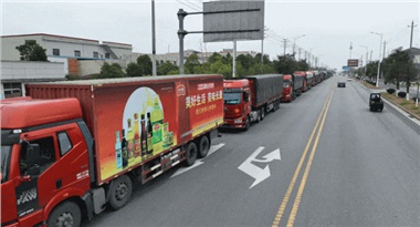 馬年“開門紅”！長康集團首日訂單額突破3000萬元